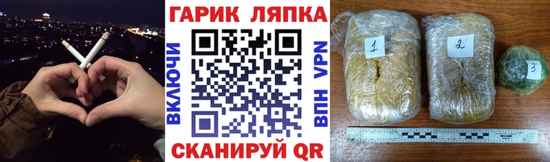 ГАШ Premium  Купить где  Бакал 