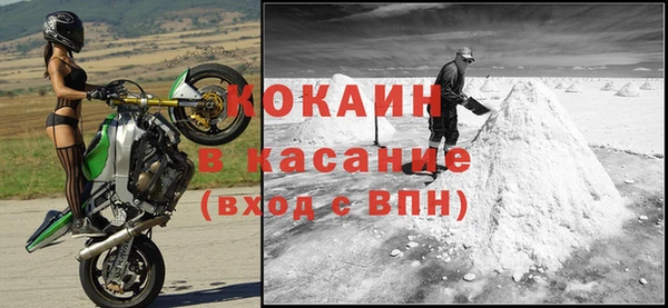 стаф Волосово