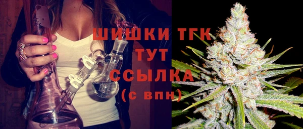 стаф Волосово