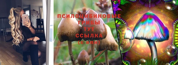 jwh Володарск