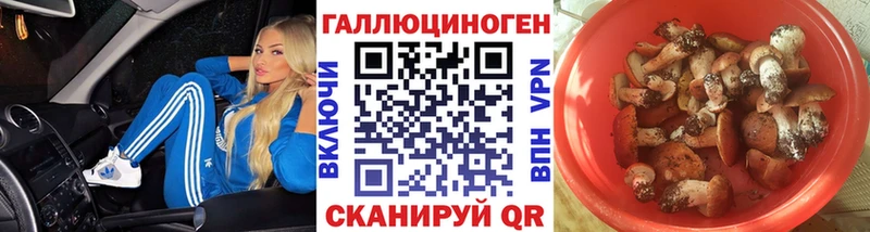 Галлюциногенные грибы Cubensis  Купить закладки  Бакал 