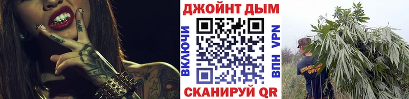 Бошки Шишки план  Купить где  Бакал 